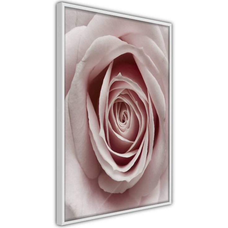 Juliste Artgeist Pastel Rose, kehyksillä, eri kokoja