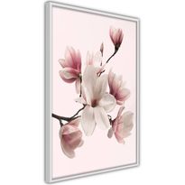 Juliste Artgeist Delicate Magnolias, kehyksillä, eri kokoja