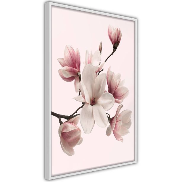 Juliste Artgeist Delicate Magnolias, kehyksillä, eri kokoja