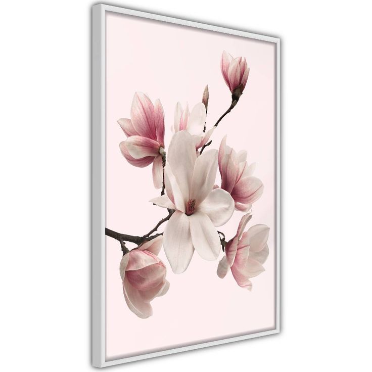 Juliste Artgeist Delicate Magnolias, kehyksillä, eri kokoja
