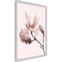 Juliste Artgeist Blooming Flowers, kehyksillä, eri kokoja