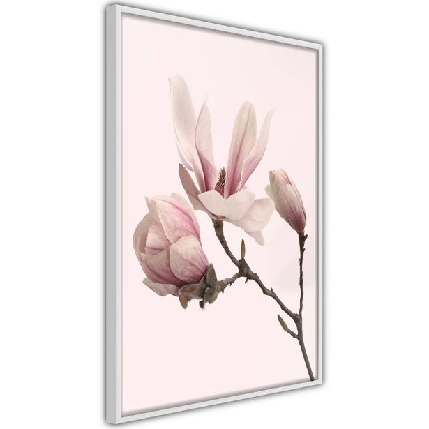 Juliste Artgeist Blooming Flowers, kehyksillä, eri kokoja