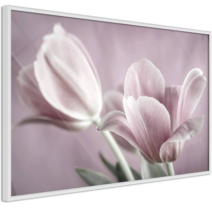 Juliste Artgeist Pink Tulips, kehyksillä, eri kokoja