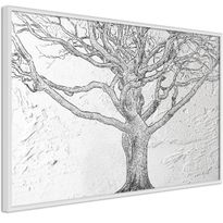 Juliste Artgeist Old Tree, kehyksillä, eri kokoja