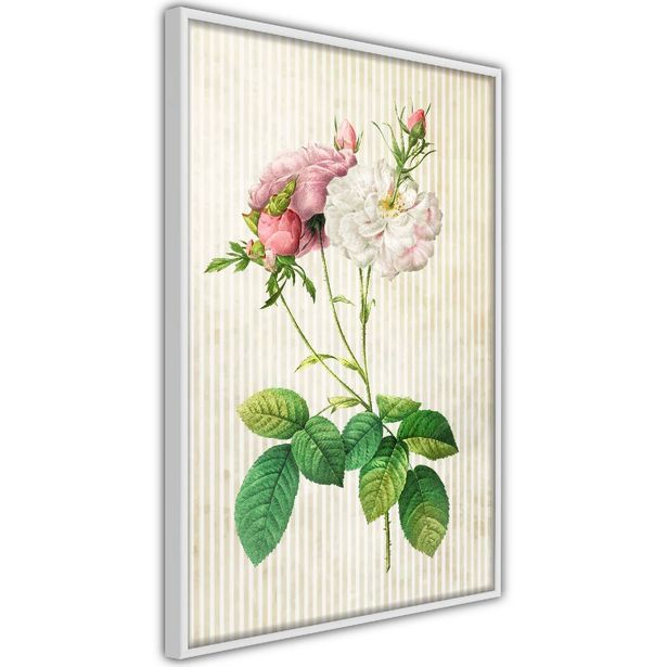 Juliste Artgeist Floristic Chic, kehyksillä, eri kokoja