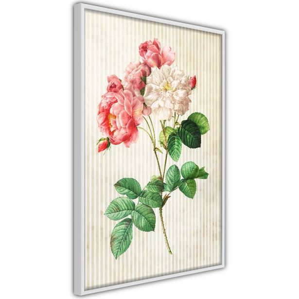 Juliste Artgeist Heavenly Rose, kehyksillä, eri kokoja