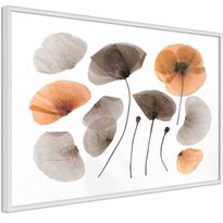 Juliste Artgeist Meadow Herbarium, kehyksillä, eri kokoja