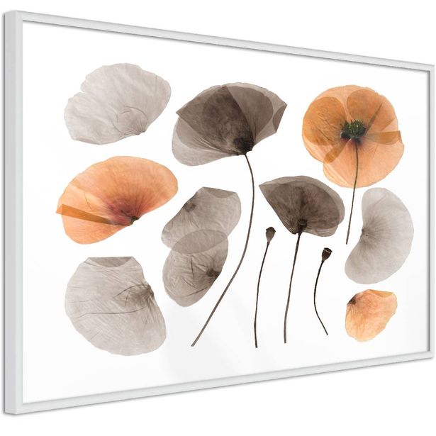 Juliste Artgeist Meadow Herbarium, kehyksillä, eri kokoja