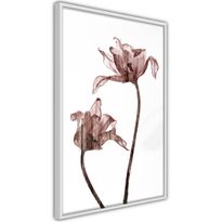 Juliste Artgeist Illuminated Closeness, kehyksillä, eri kokoja
