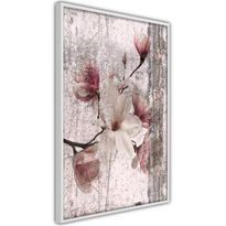 Juliste Artgeist Memorial Magnolia, kehyksillä, eri kokoja