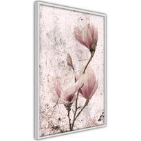 Juliste Artgeist Mature Magnolia, kehyksillä, eri kokoja