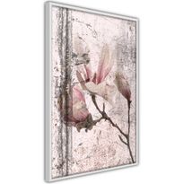 Juliste Artgeist Exquisite Magnolia, kehyksillä, eri kokoja