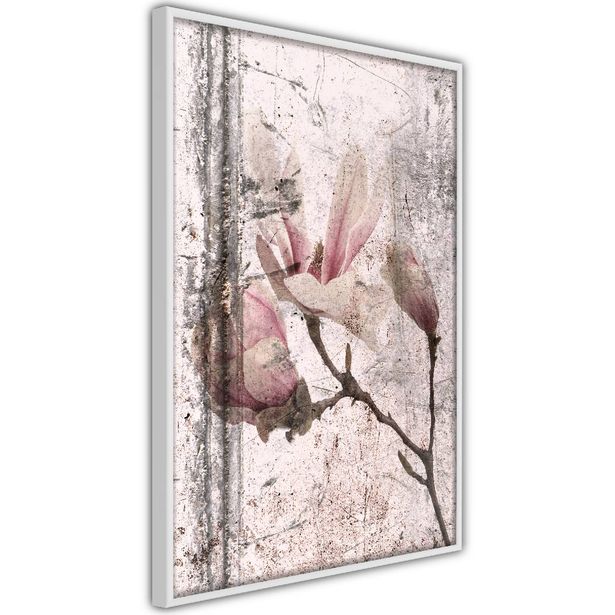 Juliste Artgeist Exquisite Magnolia, kehyksillä, eri kokoja