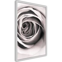 Juliste Artgeist Rose Vortex, kehyksillä, eri kokoja