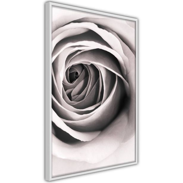 Juliste Artgeist Rose Vortex, kehyksillä, eri kokoja