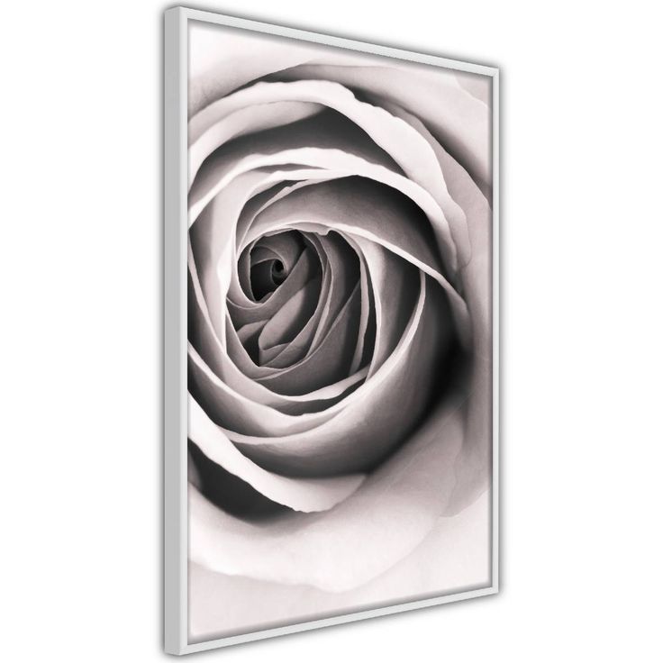 Juliste Artgeist Rose Vortex, kehyksillä, eri kokoja