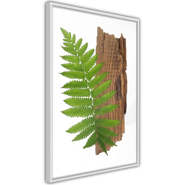 Juliste Artgeist Firmness of Nature, kehyksillä, eri kokoja