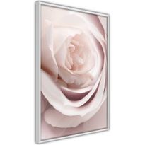 Juliste Artgeist Porcelain Rose, kehyksillä, eri kokoja
