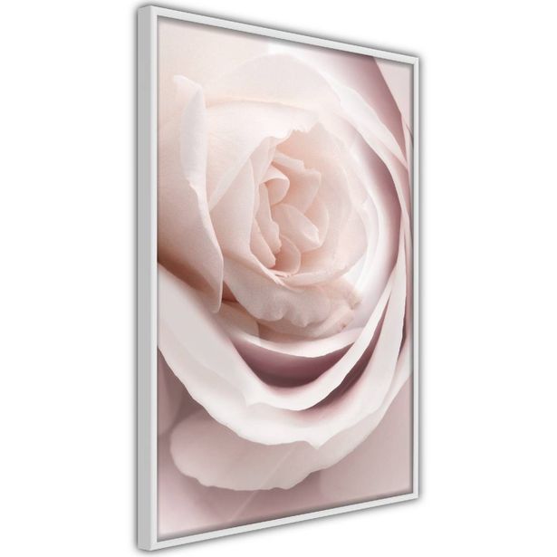 Juliste Artgeist Porcelain Rose, kehyksillä, eri kokoja