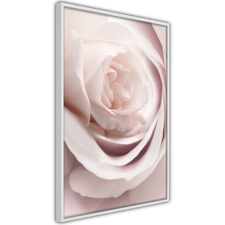 Juliste Artgeist Porcelain Rose, kehyksillä, eri kokoja