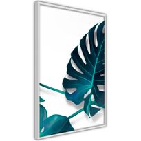 Juliste Artgeist Sea Flower, kehyksillä, eri kokoja