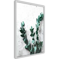 Juliste Artgeist Eucalyptus Scent, kehyksillä, eri kokoja