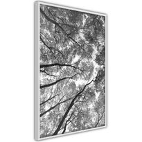 Juliste Artgeist High Trees, kehyksillä, eri kokoja