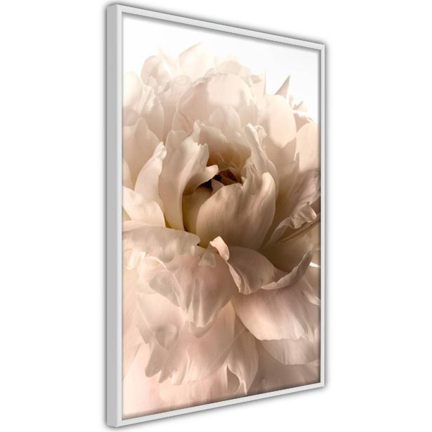 Juliste Artgeist Soft Petals, kehyksillä, eri kokoja