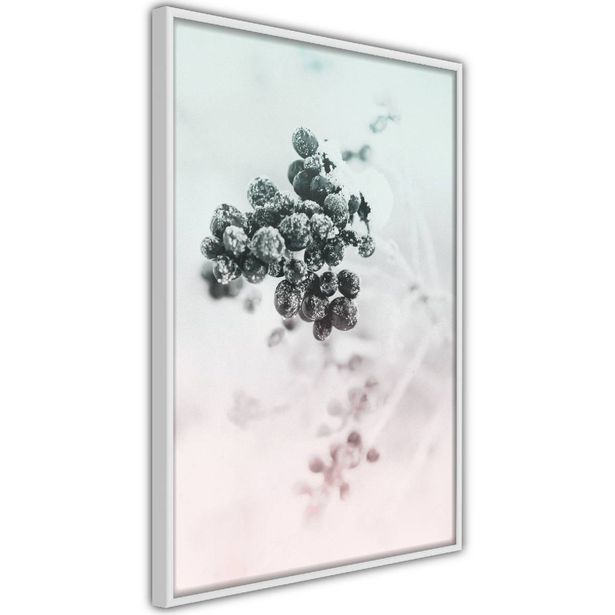 Juliste Artgeist Frozen Twig, kehyksillä, eri kokoja