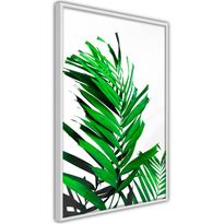Juliste Artgeist Juicy Leaf, kehyksillä, eri kokoja