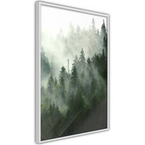 Juliste Artgeist Coniferous Forest, kehyksillä, eri kokoja