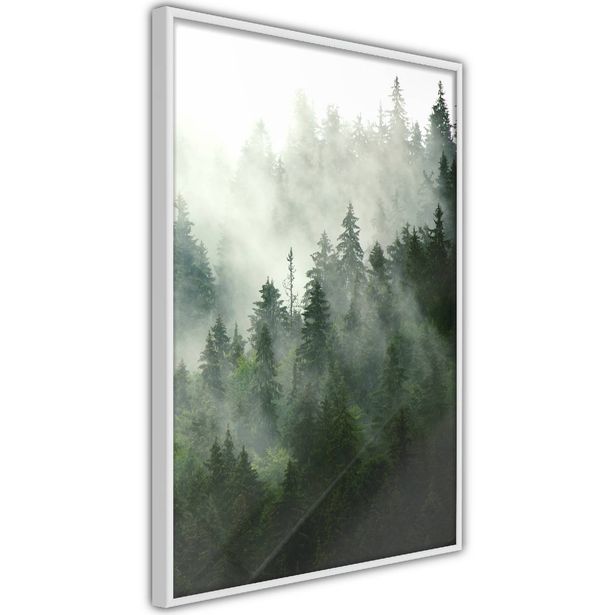 Juliste Artgeist Coniferous Forest, kehyksillä, eri kokoja