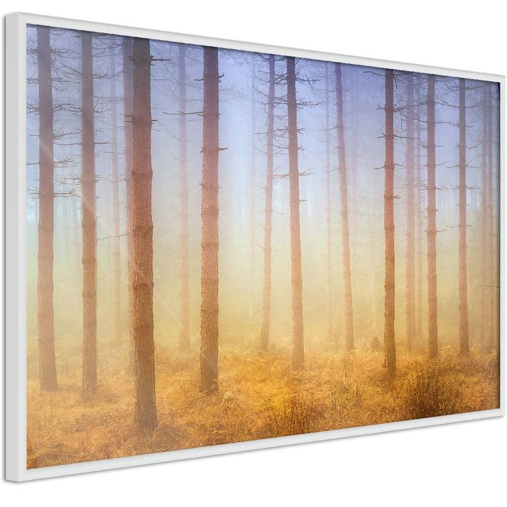 Juliste Artgeist Foggy Forest, kehyksillä, eri kokoja