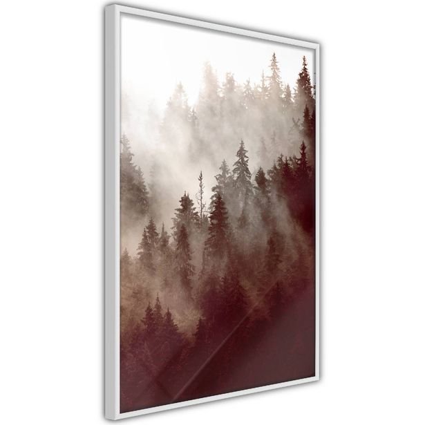 Juliste Artgeist Brown Forest, kehyksillä, eri kokoja