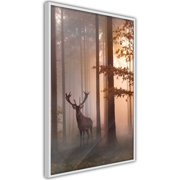 Juliste Artgeist Morning, kehyksillä, eri kokoja