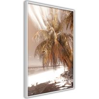 Juliste Artgeist Palm Shadow, kehyksillä, eri kokoja