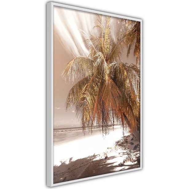 Juliste Artgeist Palm Shadow, kehyksillä, eri kokoja