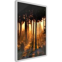 Juliste Artgeist Honey Forest, kehyksillä, eri kokoja