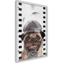 Juliste Artgeist Pug In Hat, kehyksillä, eri kokoja