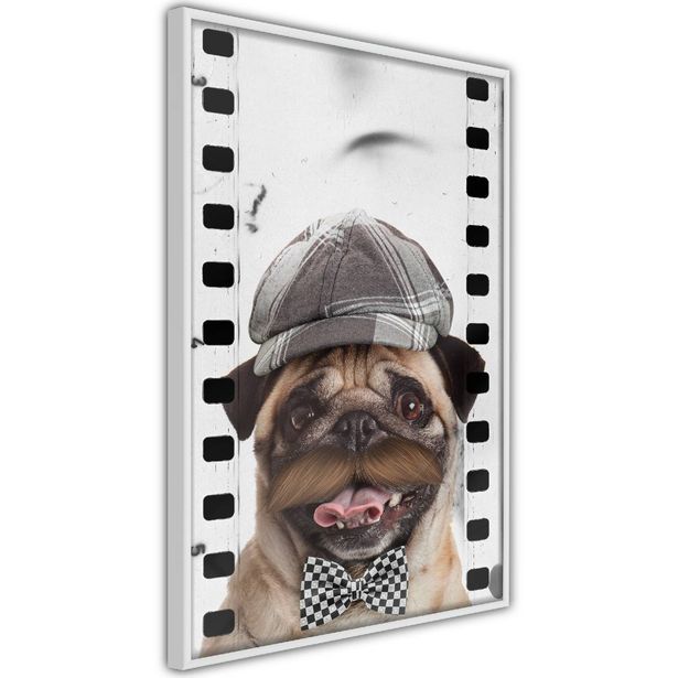 Juliste Artgeist Pug In Hat, kehyksillä, eri kokoja