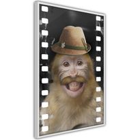 Juliste Artgeist Monkey In Hat, kehyksillä, eri kokoja