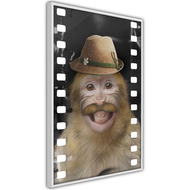 Juliste Artgeist Monkey In Hat, kehyksillä, eri kokoja