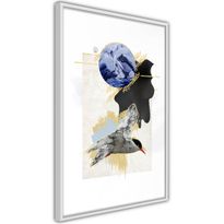 Juliste Artgeist Antarctic Tern, kehyksillä, eri kokoja