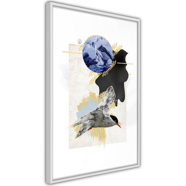 Juliste Artgeist Antarctic Tern, kehyksillä, eri kokoja