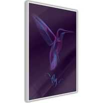 Juliste Artgeist Purple Hummingbird, kehyksillä, eri kokoja