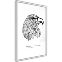 Juliste Artgeist Eagle of Freedom, kehyksillä, eri kokoja