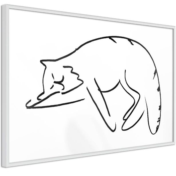 Juliste Artgeist Cat's Dreams, kehyksillä, eri kokoja