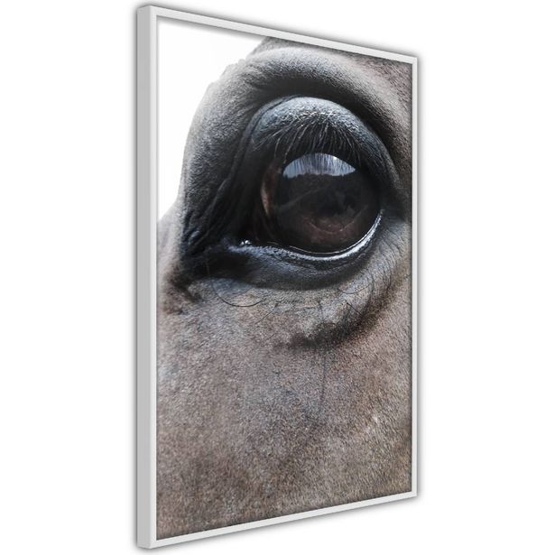 Juliste Artgeist Honest Eyes, kehyksillä, eri kokoja