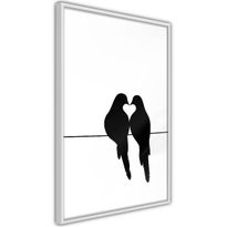Juliste Artgeist Bird Love, kehyksillä, eri kokoja
