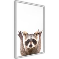 Juliste Artgeist Raccoon, kehyksillä, eri kokoja
